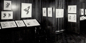 Exhibitions and catalogues