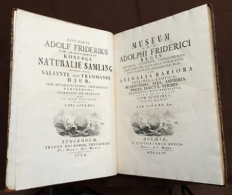<p>Swedish and Latin title pages for Carolus Linnaeus (1707–1778), <em>Museum S:ae R:ae M:tis Adolphi Friderici Regis</em> ... (Stockholm, E Typographia Regia Direct. Pet. Momma, 1754–1764, vol. 1), Strandell Collection of Linnaeana no. 5560, HI Library call no. hBD7 L758m STR.</p>