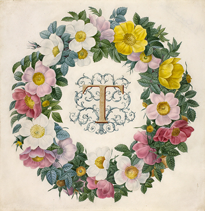 <p>[Wreath of <em>Rosa foetida</em> J. Herrmann, Rosaceae], watercolor on vellum by Pierre-Joseph Redouté (1759–1840), 24 × 23.5 cm, a study, with <em>T</em> possibly in honor of Thory, made for or from the frontispiece for his and Claude-Antoine Thory (1759–1827), <em>Les Roses</em> (Paris, Didot, 1817–1824, 1: frontispiece), HI Art accession no. 0040.</p>