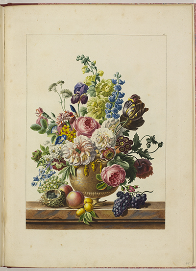 <p>Floral still life, stipple engraving by Antoine Chazal (1793–1854) after an original by Gérard van Spaendonck (1746–1822) for Chazal's <em>Flore Pittoresque Dédiée Aux Dames</em> (Paris, Chez l'Auteur, 1818–?1825, pl. 48), HI Library call no. DQ2 C513f 825.</p>