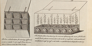 John Ellis, Directions (1770)
