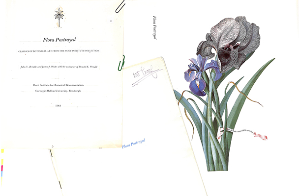 <p>Mock-up, blueline and cover proof for <em>Flora Portrayed</em>.</p>