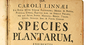 Index to Binomials Cited in the First Edition of Linnaeus' Species Plantarum