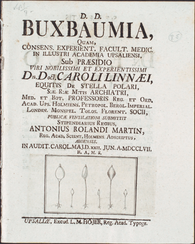 <p>Title page with figure, for Anton Rolandsson Martin (1729–1785), <em>Buxbaumia</em> (Uppsala, 1757), Linnaean Dissertations, Lidén no. 85, Strandell Collection of Linnaeana, HI Library.</p>