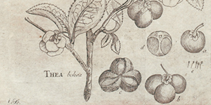 Index to Scientific Names of Organisms Cited in the Linnaean Dissertations