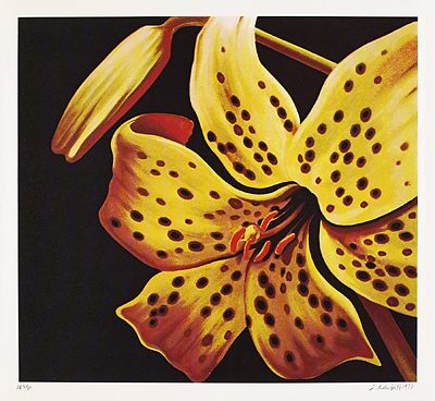 <p>1. Spotted lily, color serigraph by Lowell Nesbitt, 1978, 7 3/4 × 7 1/8 "</p>