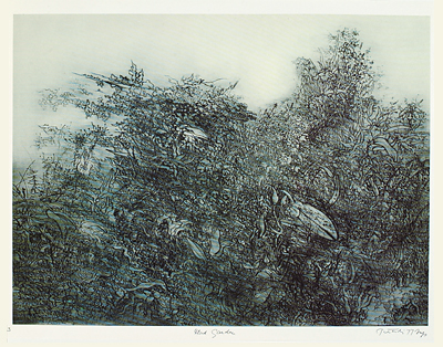 <p>3. Mad garden, etching by Gabor Peterdi, 1977, 10 × 7 5/8"</p>