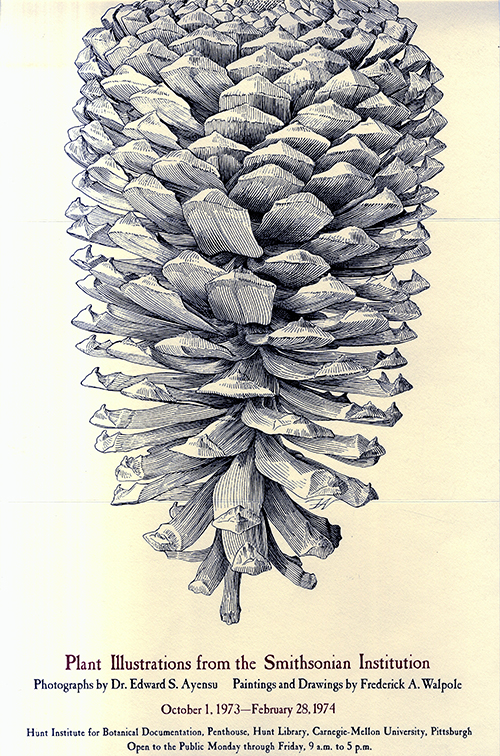 <p>Promotional poster for <em>Plant Illustrations from the Smithsonian Institution</em> (1973).</p>