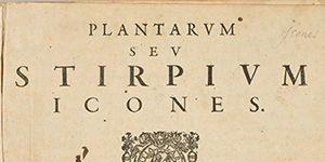 Colored and uncolored images in 16th–17th-century plant books