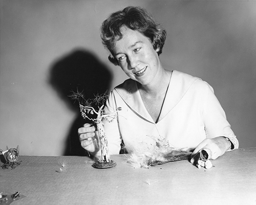 <p>Susan Carlton Smith Cavanagh (1923–2021), with <em>The Tired Apartment House</em>, her sculpture made entirely of natural materials found outdoors, unknown location and date, photograph by Kenneth Rogers for <em>Atlanta Journal-Constitution</em> and George H. M. Lawrence (1910–1978), comp., <em>Catalogue [of the] 2nd International Exhibition of Botanical Art &amp; Illustration</em> (Pittsburgh, Hunt Botanical Library, 1968, p. 228), HI Archives portrait no. 1, courtesy of <em>Atlanta Journal-Constitution</em>.</p>