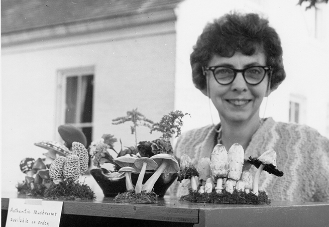 <p>Martha Gene Pierson Williamson (1915–1993), Oxford, Ohio, ca.1972, photograph by George Hoxie for Karen A. Korach, comp., <em>Catalogue [of the] 3rd International Exhibition of Botanical Art &amp; Illustration</em> (Pittsburgh, Hunt Institute for Botanical Documentation, 1972, p. 177), HI Archives portrait no. 2, reproduced by permission of the photographer.</p>