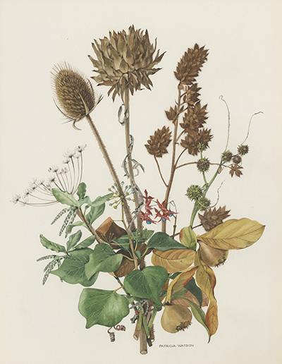 <p>Autumn Group, watercolor on paper, mounted on illustration board, by Patricia Margaret Calhoun Rennie (also Patricia Margaret Calhoun Watson, 1931–), 59 × 39 cm, HI Art accession no. 8559.006, reproduced by permission of the artist.</p>
